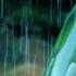 Fall Asleep With Bamboo Water Fountain Rain Ambience