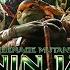 Adolescent Genetically Altered Shinobi Terrapins