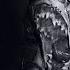ТЕЛА Страшные истории на ночь Scary Stories