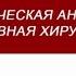 Большаков И Н Шея оперативная хирургия и топографическая анатомия