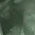 CREEPY NOISES ARE HEARD NIGHT IN AN ABANDONED CHILDREN S CAMP FOUND A PLACE OF SATANISTS