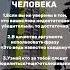 Методы убеждения человека
