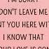 SLANDER I M Sorry Don T Leave Me I Want You Here With Me Lyrics Love Is Gone