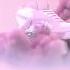 Skechers Remix DripReport OFFICIAL SOUND