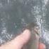 CatchandRelease Fishing In Luodong Taiwan