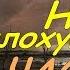Контракт на плохую жизнь Эффект бабочки разговор с Лоцманом и сафари в Зоне ЧАСТЬ 2
