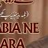 Pashto Noha 2024 Tal E Zainabia Ne Yam Wilara Yawar Ali Bangash 2024 1446