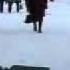 гармонь Flv