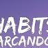 Arcando Habits Stay High Feat LUNIS Lyrics