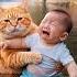 Orange Cat Rescue Baby From Water CatStory CatRescue Shorts Life Insurance Sign Up
