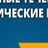 Идейные течения и политические партии