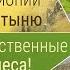 Как жители Эфиопии превратили пустыню в сельхозугодья и леса