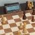 A Indichenko 1802 Vs Tweedledum 1311 Chess Fight Night CFN Rapid