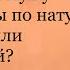 Стоят Две Блондинки На Остановке Большой Сборник Лучших Анекдотов Для Хорошего Настроения