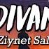 Ziynet Sali Deli Divanenim Şarkı Sözü Lyrics