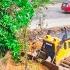 Perfectly Excellent Skill Operator Dozer SHANTUi DH17c2 Pushing Forest Clear Land Near National Road