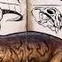 Ark Survival Evolved Lystrosaurus Sound Effects