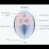 육아 팁 갓 태어난 딸의 음경을 닦는 방법 Cleaning The Genital Area Of A Newborn Baby Girl Shorts 쇼츠 Parenting