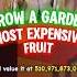 Did I Just Get The MOST EXPENSIVE FRUIT In GROW A GARDEN On ROBLOX