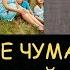 Н Левашов Кто такие Чумак Кашпировский Задорнов Ванга Норма ли 9 детей в семье