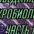 Введение в микробиологию Часть 1 Анатомия и морфология бактерий