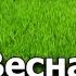 СМЕТАНА Band Весна