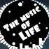 Lil BEBE Adam Maniac Remix Music In The Best The Music Of Life Official Video