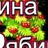 Рябина ты рябина Страдания КРУТО гр БАЛАЛАЙКА 62 и Натали Афанасьева слова муз С Кириллов