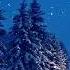 Dmitry Glushkov Winter Preview