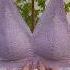 Professional Steel Ring Free Push Up Bra Women S Underwear Lightweight And Breathable Girl Shorts