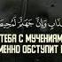 Сура 29 Аль Анкабут Паук аяты 46 69 Чтец Sherif Mostafa