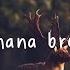 Cavetown Banana Bread Lyrics