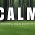 CALM INSTRUMENTAL SOAKING WORSHIP SOAKING WORSHIP MUSIC PIANO WORSHIP MUSIC