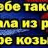 Ну что друг Эрдоган как тебе такое Россия показала Турции кто в доме хозяин