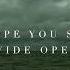 The Lighthouse And The Whaler Wide Open Official Lyric Video