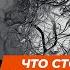 Единственный механизм лежащий в основе запросов к психологам День 1 Андрей Курпатов