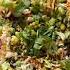 HEALTHY GIRL SALAD Recipe In Comments Vegan Edamame Salad Plantbased