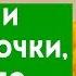 ДАОССКИЙ МЕТОД восстановления почек желудка зрения и снижения веса Про здоровье