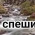 Как олень спешит к воде Христианская песня МСЦ ЕХБ Гитара вокал