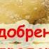 ЖИДКОЕ ЗОЛОТО для подкормки рассады и комнатных растений для устранения запаха дачных туалетов