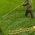 Как не нудно косить траву Shortvideo Ukraine Animals Nature природа Agriculture украина