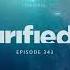 Purified Radio 343