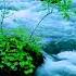 Forest River Flowing In Early Morning 4k Relaxing River Sounds White Noise For Sleep Meditation