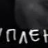 Радислав Гандапас ораторское искусство