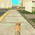 Game Guardian Hack Cat Sim Online Lvl 200 Hack