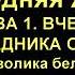 Последняя Жатва 1 1 1 СИМВОЛИКА БЕЛОГО ЦВЕТА