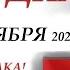 КАРТА ДНЯ 21 сентября 2024 События дня ВСЕ знаки зодиака ОРАКУЛ ПАНТА