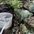 Running Water Even In Winter Fixing The Spring At The Bushcraft Campsite