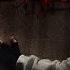 HORROR NIGHTMARE WORLD Cry Of Fear Part 1