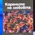 Корените на любовта ръководство по семейни констелации Свагито Р Лийбермайстер Store Bg